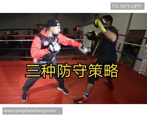 南京乒乓球队防守策略解析与技术特点深度剖析 南京乒乓球队防守策略解析与技术特点深度剖析