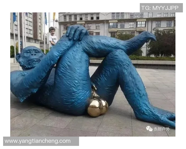 南京极限运动队技术争议引发热议运动员表现与安全问题的深度探讨