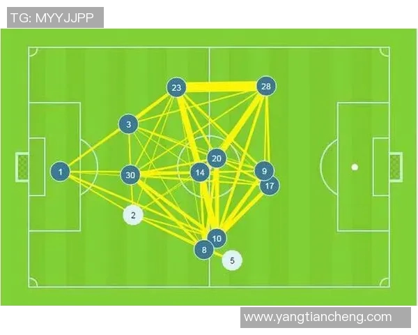 武汉排球队配合表现的数据分析与战术优化研究