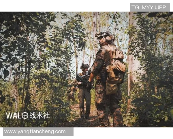 武汉极限运动队的战术革新与转换打法深度解析