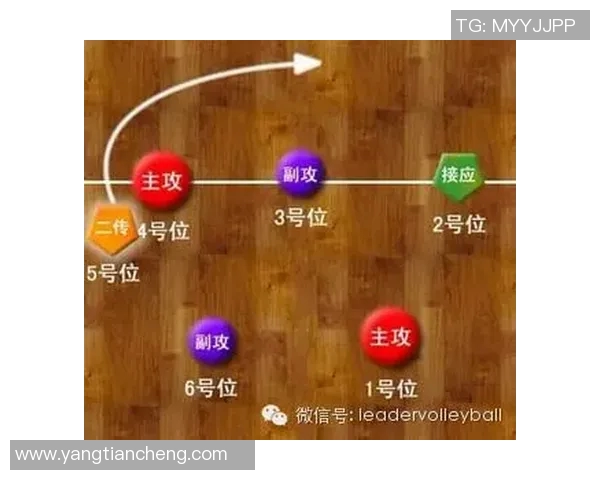 深入分析杭州乒乓球队快攻战术的优势与应用技巧