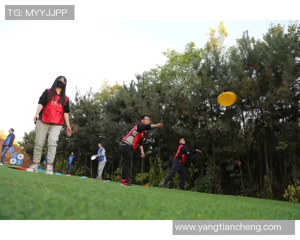 飞盘纪实：南京飞盘队勇闯赛场的奋斗与荣耀之路