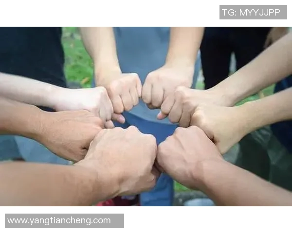 专访赵强：深入探讨排球运动背后的成功秘诀与团队精神