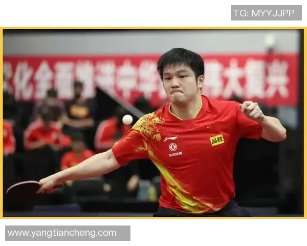 乒乓球专题：深入探讨广州乒乓球队的速度与技巧训练之路