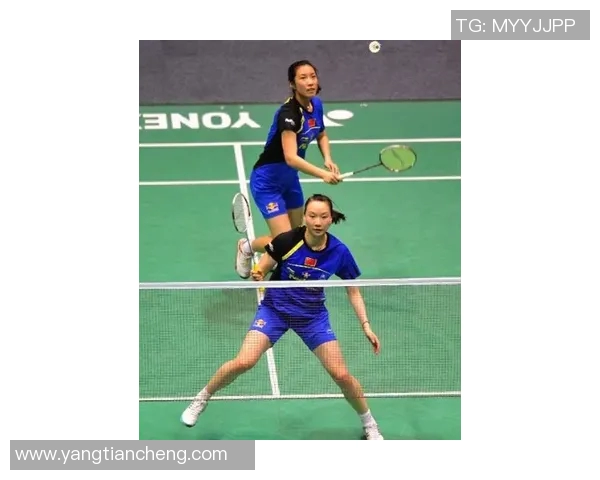 北京羽毛球队运营分析：成功经验与面临挑战的全面探讨