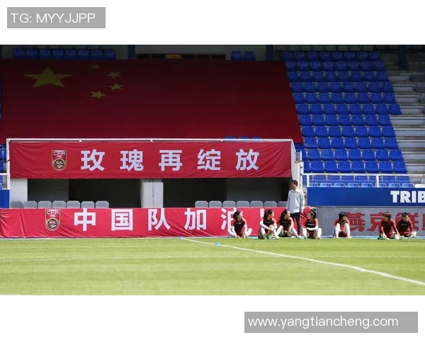 成都足球队在世界杯中的表现分析与状态评估 成都足球队在世界杯中的表现分析与状态评估