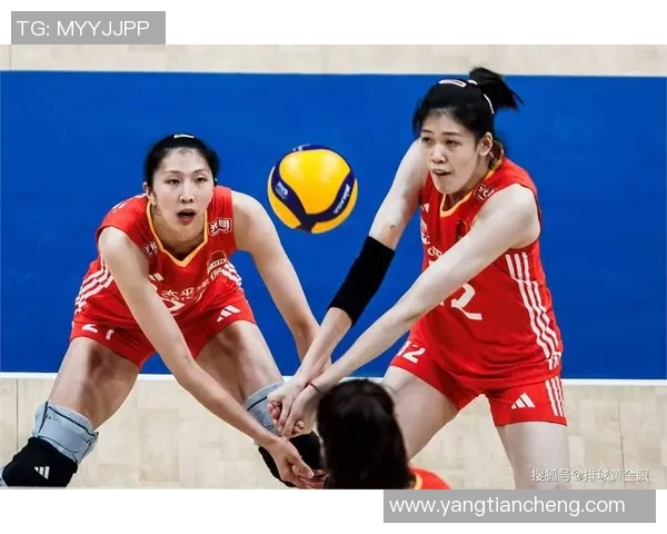 排球耐力排行榜揭晓北京排球队荣登第十名展现强大实力