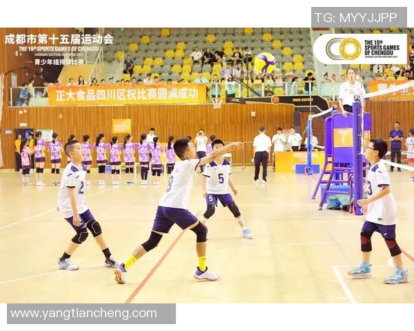 成都排球队的崛起与发展：探寻其背后的力量与潜力分析