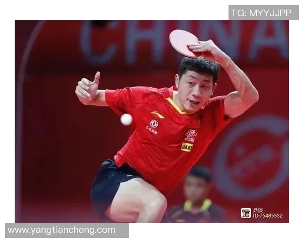 武汉羽毛球队的战术解析与训练秘笈深度探讨 武汉羽毛球队的战术解析与训练秘笈深度探讨