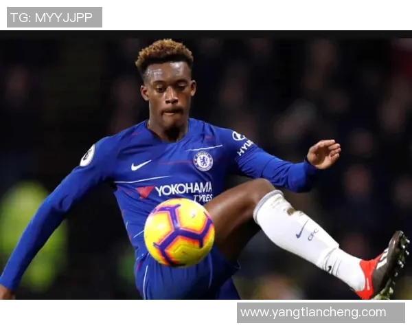 切尔西与里尔对决分析战术布局与球员表现的深度剖析 切尔西与里尔对决分析战术布局与球员表现的深度剖析