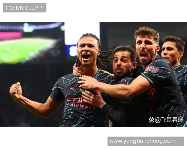 热刺主场迎战埃弗顿正直播精彩对决全场焦点不容错过