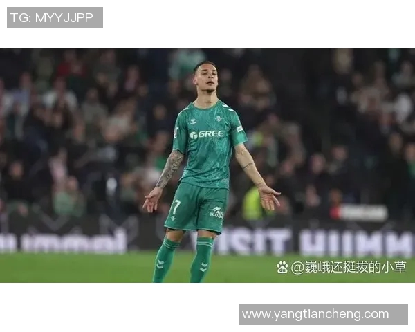 拉什福德在赛场上的崛起与未来发展潜力分析