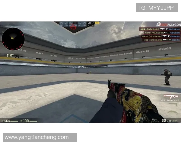 杨丽独家揭秘CSGO游戏技巧与心得分享助你提升战斗力