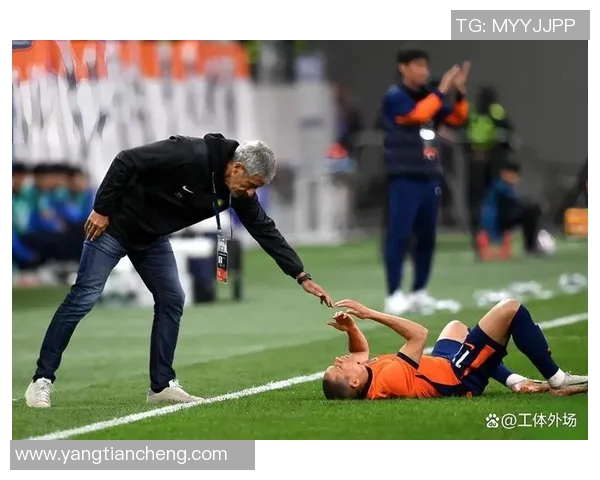 武汉北京对决国安展现足球激情与团队精神的巅峰对抗