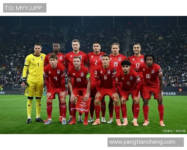 荷兰与北爱尔兰足球对决全面分析战术特点与球队状态