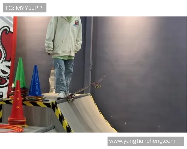 北京滑板队中路突破的成功与不足分析及未来发展方向探讨MBA