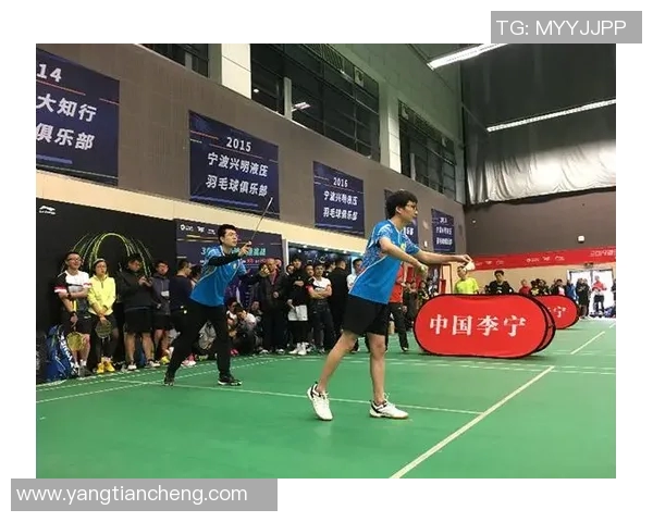 杭州羽毛球队在精英赛中的表现分析与状态评估MBA