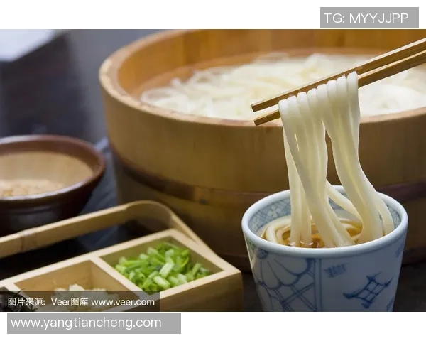 赞岐釜玉与传统面食的完美碰撞探寻美味背后的文化故事