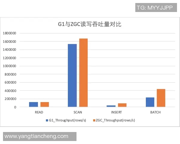 飓风与防卫者的全面对比分析及性能评估探讨
