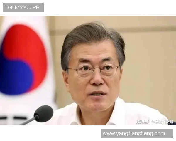 亚洲与美洲的文化碰撞韩国在其中的独特角色与影响分析