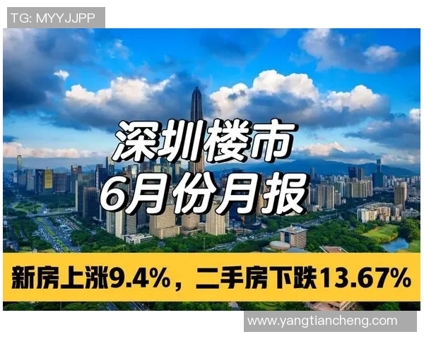深圳羽毛球队转型之路揭秘:从传统强队到现代化竞技新标杆 深圳羽毛球队转型之路揭秘:从传统强队到现代化竞技新标杆