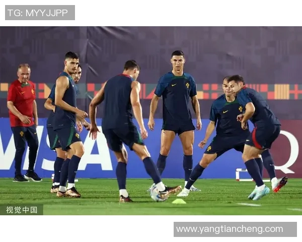 法国与葡萄牙防守战术解析谁能在对抗中占据上风