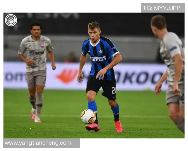 西安极限运动队防守策略深度分析与战术解读