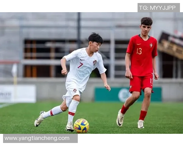 陈磊畅谈足球生涯与心路历程的深度专访回顾