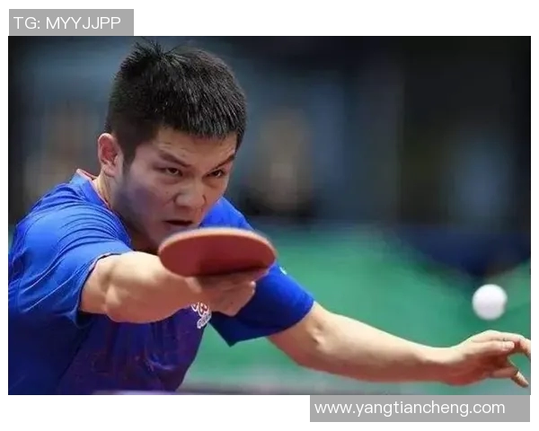 从零基础到高手之路乒乓球技巧与训练全解析