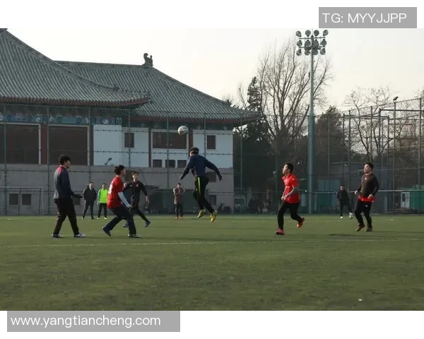成都篮球队灵活性分析与战术适应性研究探讨MBA 成都篮球队灵活性分析与战术适应性研究探讨MBA